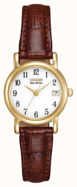 Citizen Women's Brown Leather Strap Strap Eco-Drive